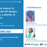 Laboratorio: ¿Cómo mejorar la vigilancia laboratorial del dengue y otras arbovirosis, y abordar el período epidémico?