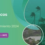 banner del evento. Se muestra foto de zona costera con mar y palmeras visiblemente con viento. También se ve el título del evento y la hora. Foto de playa con palmeras con viento. Crédito foto: Freepik - @dogorasun