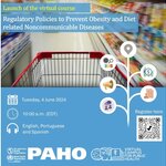 Launch of the Virtual Course on Regulatory Policies to Prevent Obesity and Diet-related Noncommunicable Diseases