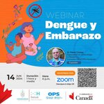 anuncio de webinario Dengue y Embarazo