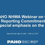 PAHO NHWA Webinar on Global Reporting Commitments with special emphasis on the SoWN