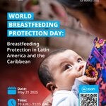 Protección de la Lactancia Materna en América Latina y el Caribe