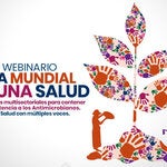 Webinario: Día Mundial de Una Salud. Estrategias multisectoriales para contener la RAM