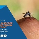 webinar yellow fever