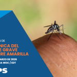 webinar fiebre amarilla