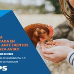 Vigilancia intensificada en humanos ante eventos de Influenza Aviar 