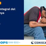 Serie de webinarios: Abordaje integral del chikunguña