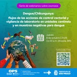 banner webinario dengue
