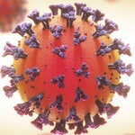 WEBINAR: Recomendaciones sobre el uso de desinfectantes químicos y físicos en las personas y en el ambiente en el contexto de la COVID-19