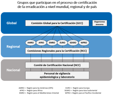 polio certification groups