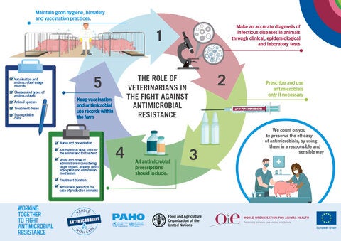 Infographic