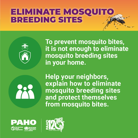 Eliminate mosquito breeding sites - Neighborhood