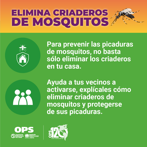 Elimina criaderos de mosquitos - Vecindario