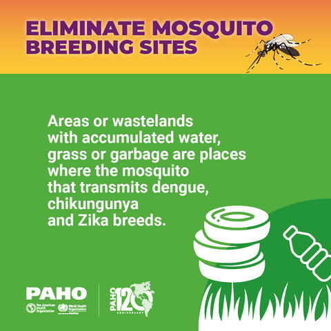 Eliminate mosquito breeding sites - Wastelands