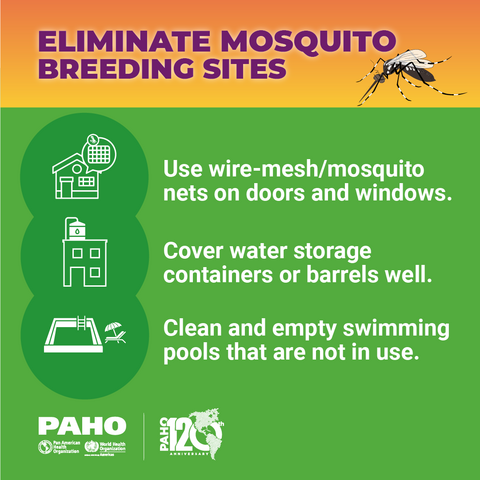 Eliminate mosquito breeding sites - Windows, barrels and swimming pools