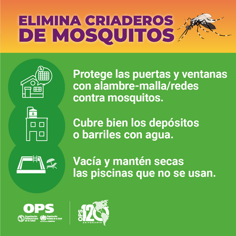 Elimina criaderos de mosquito - piscinas