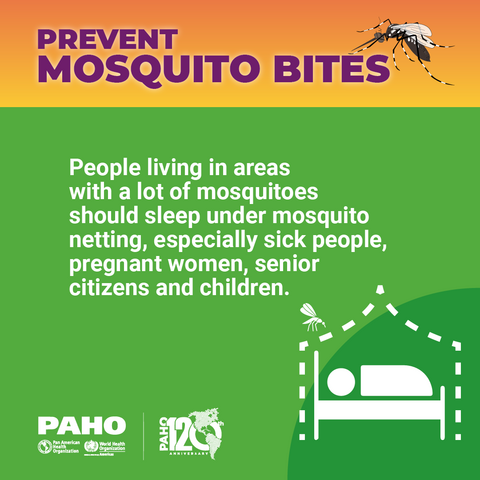 Prevent mosquito bites - Mosquito nettings