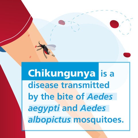 Social media card - (carousel) Chikungunya 1