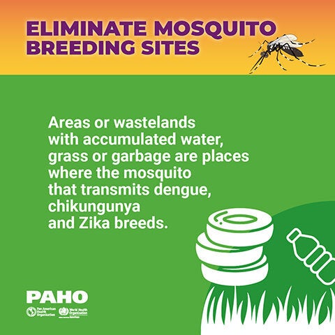 Eliminate mosquito breeding sites - Wastelands