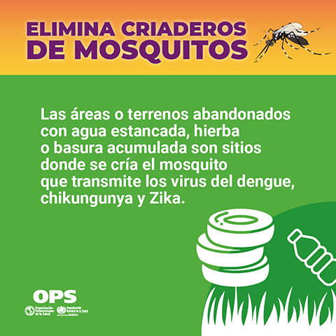Elimina criaderos de mosquitos - Basurales