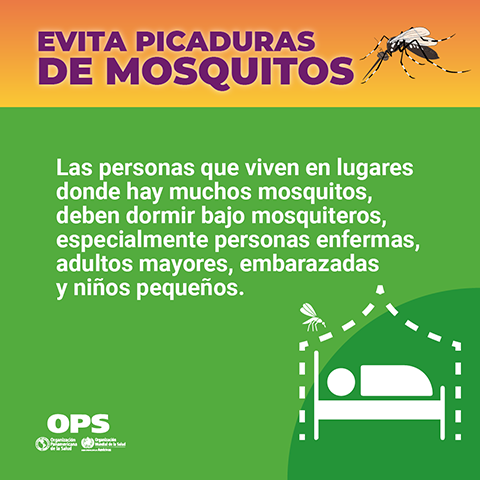 Evita picaduras de mosquito - Utiliza mosquiteros