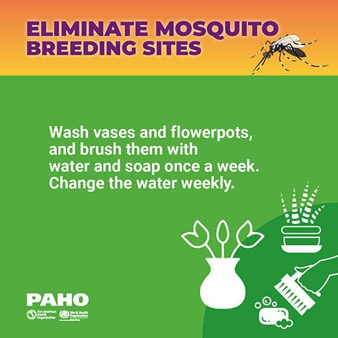 Eliminate mosquito breeding sites - Flowerpots