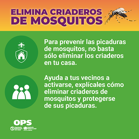 Elimina criaderos de mosquitos - Vecindario
