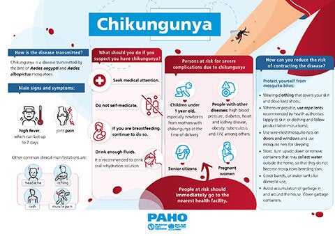 Web Flyer: Chikungunya