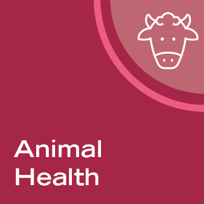 EU-PAHO-WOAH-FAO Project: Communication Materials - Animal and Agricultural Health