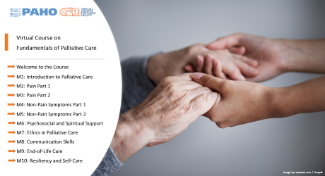 Virtual Course on Fundamentals of Palliative Care