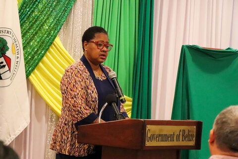 PAHO/WHO Representative in Belize, Dr. Karen Lewis-Bell, providing remarks.
