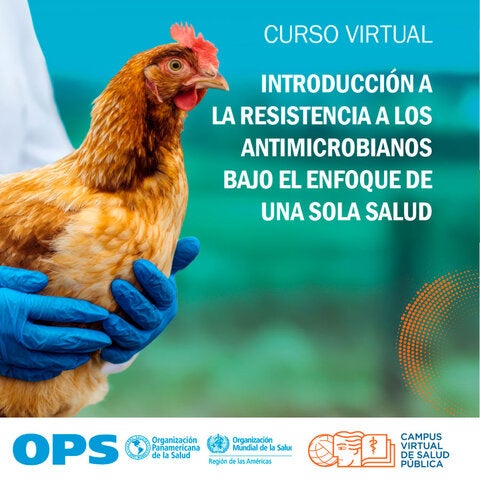 Changing Lives in Rural Guatemala: Advancing Toward Trachoma Elimination