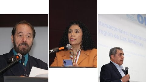 Intersectorialidad en Salud