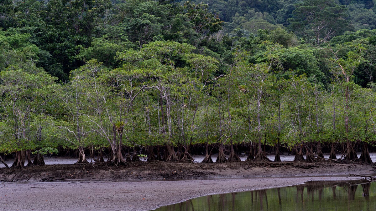 Chocó, Colombia