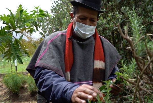 Población indígena Misaks, Colombia