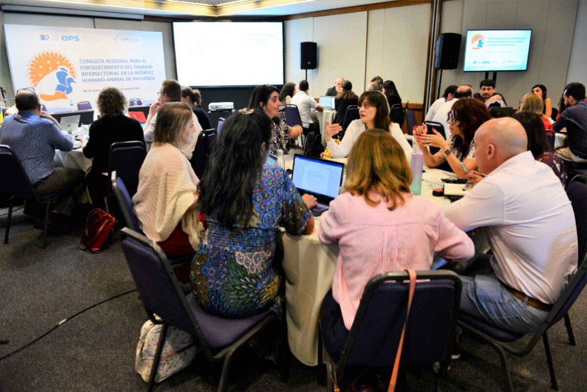 Expertos de la OPS durante la consulta regional en Brasil