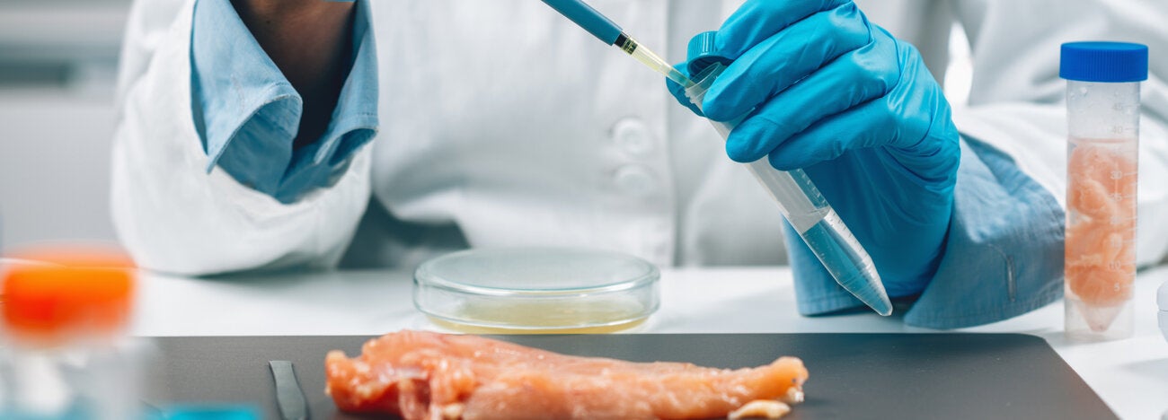 Foodborne bacterias - laboratory
