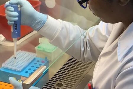 Lab worker using a pipette to distribute blood samples
