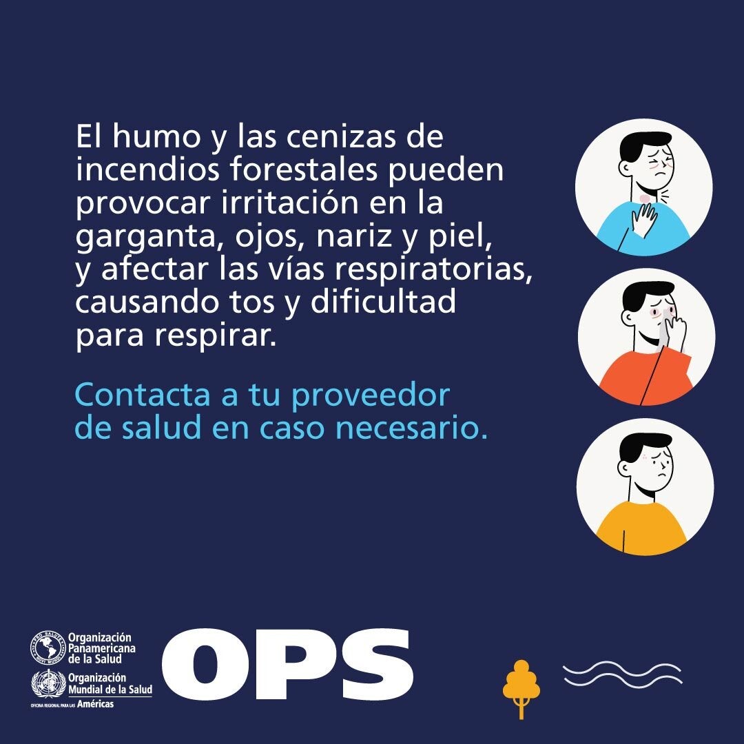 El humo y las cenizas de incendios forestales pueden provocar irritación en la  garganta, ojos, nariz y piel,  y afectar las vías respiratorias,  causando tos y dificultad  para respirar.