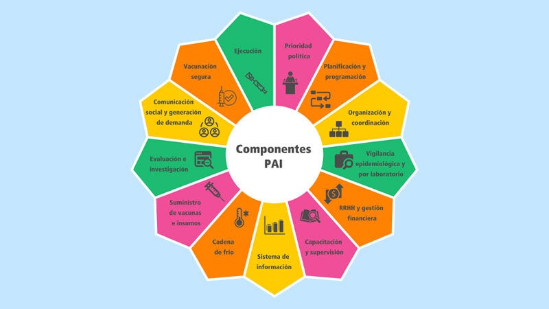Esquema de los componentes del PAI