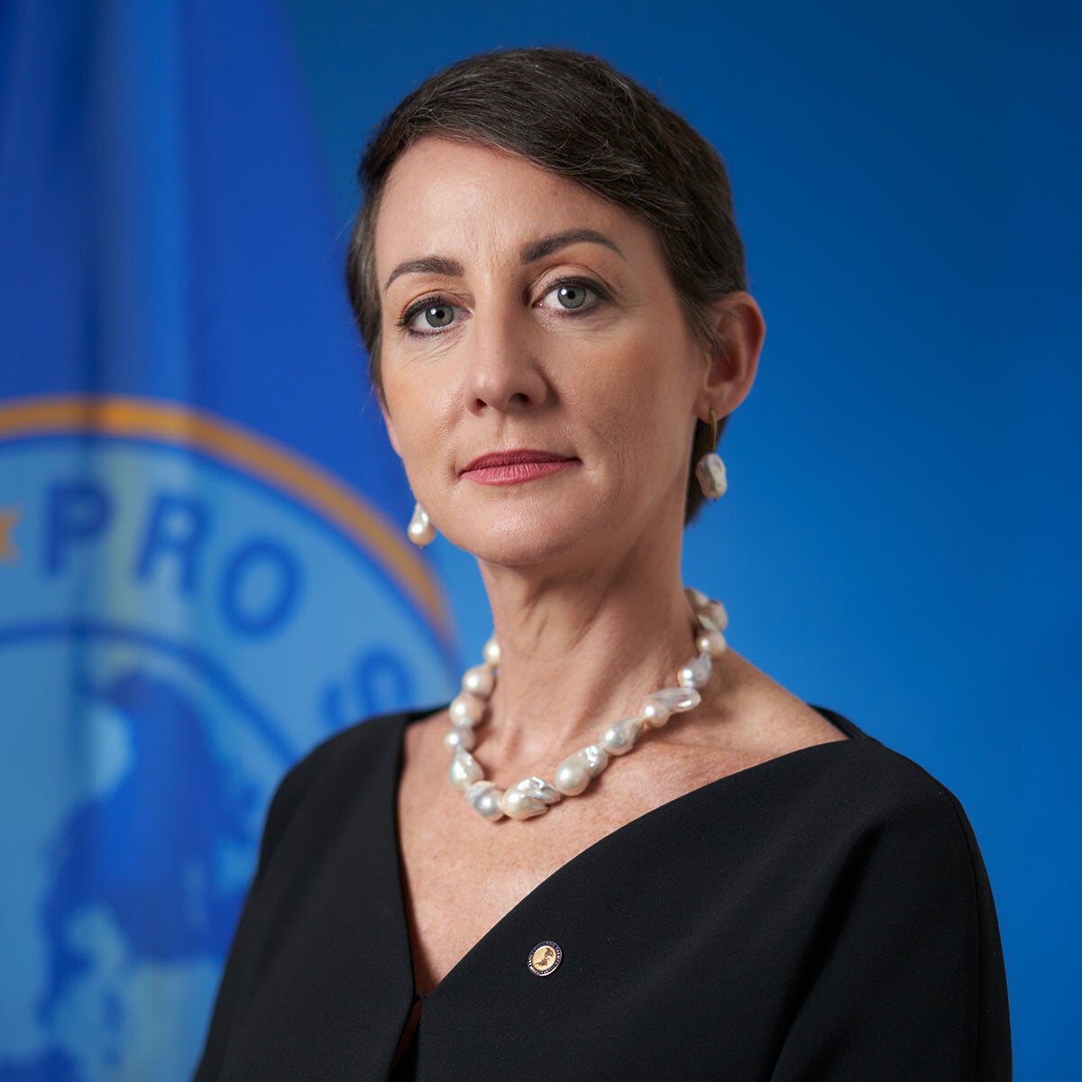 Ana Rivière Cinnamond, Representante de la OPS/OMS en Panamá