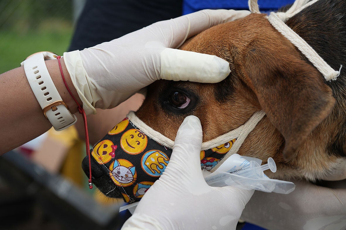 leishmaniasis Costa Rica