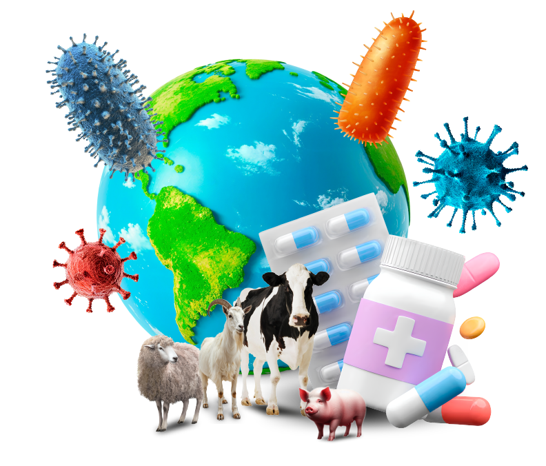 Medio ambiente y la lucha contra la resistencia a los antimicrobianos