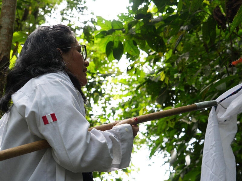 Personal de salud obtiene muestra en campo
