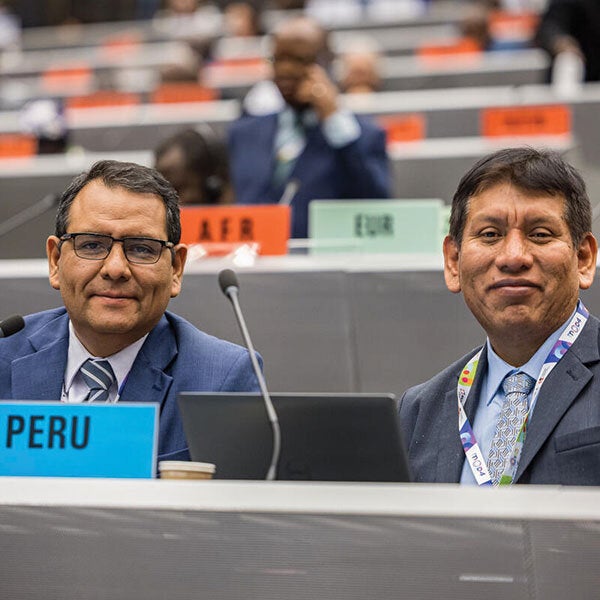 Participación de Perú en la COP11
