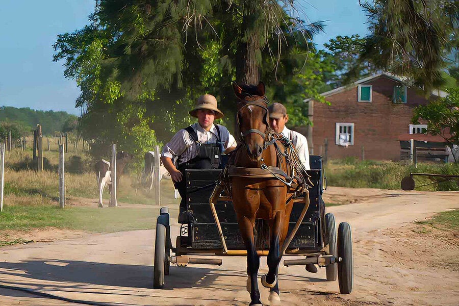 Fieles a sus costumbres, en la mayoría de las colonias de menonitas en Bolivia la vida está alejada de la modernidad. Fotos: Víctor Ugarte/OPS.