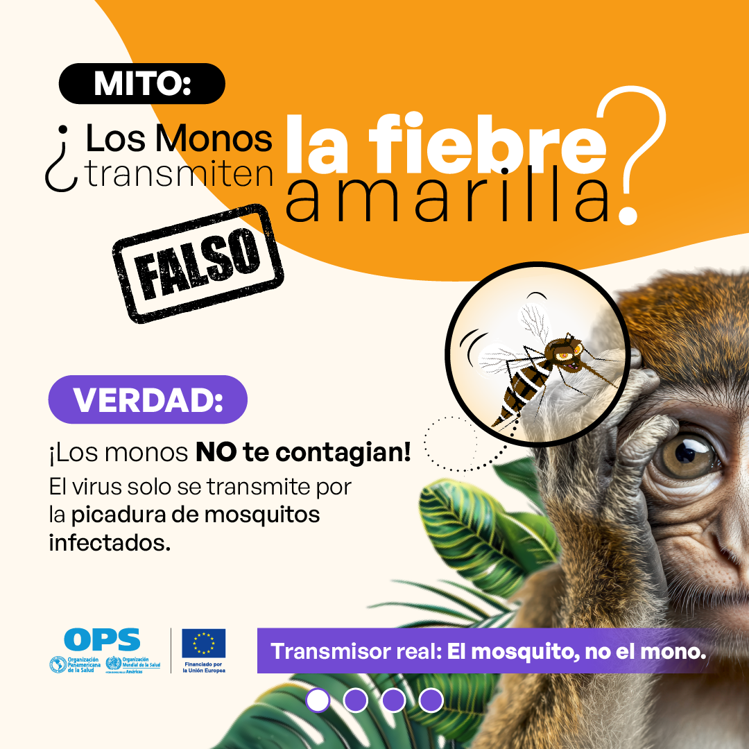 Monos 1