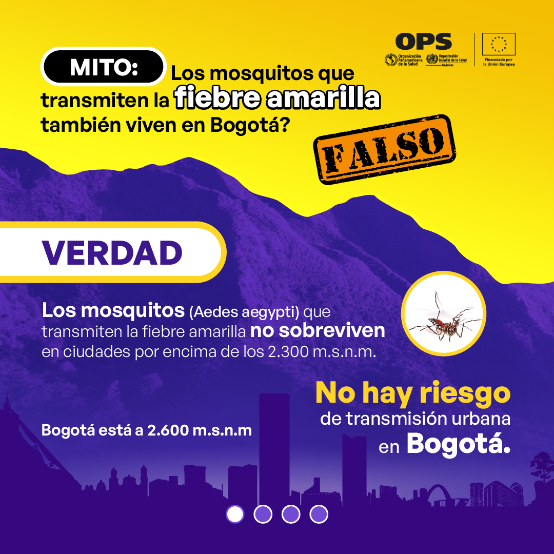 Informacion sonbre el dengue y la fiebre amarilla
