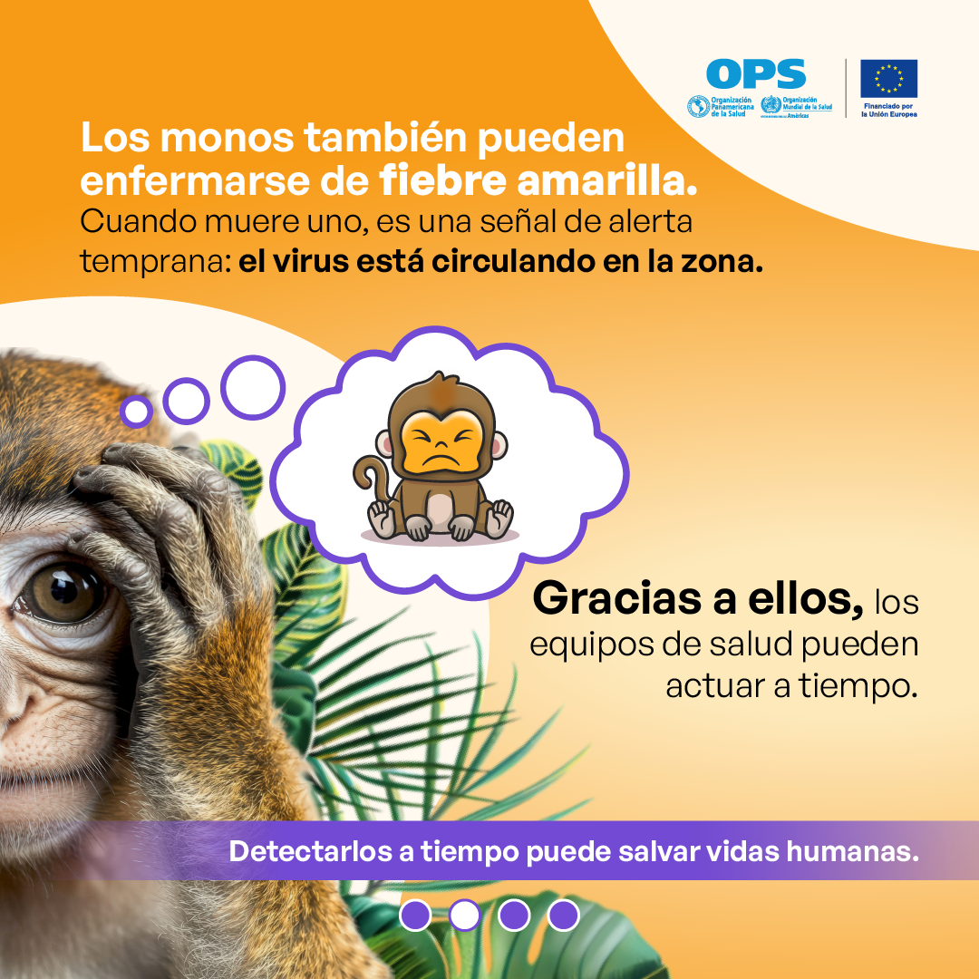 Monos 2