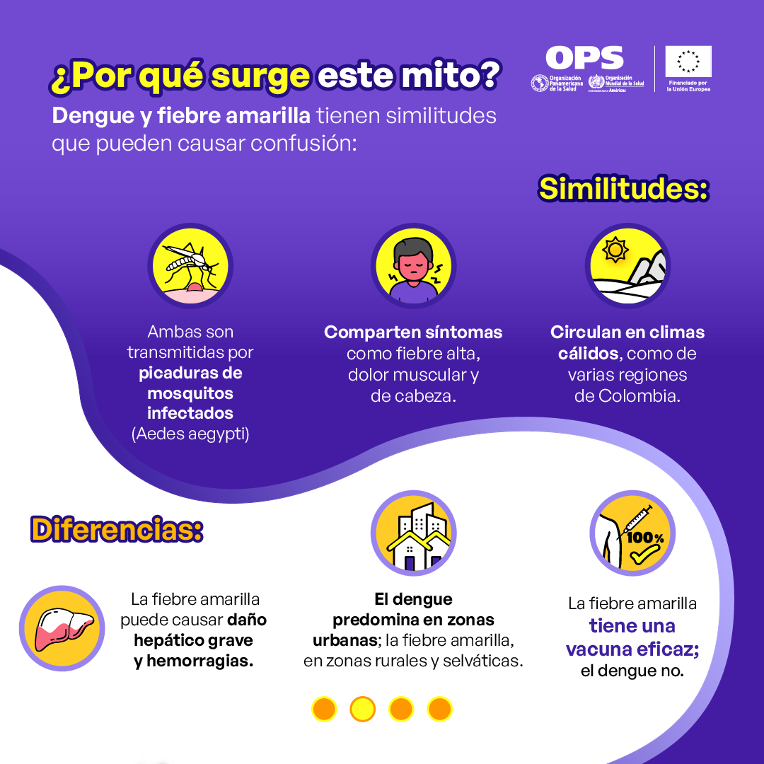 Informacion sobre el dengue y la fiebre amarilla